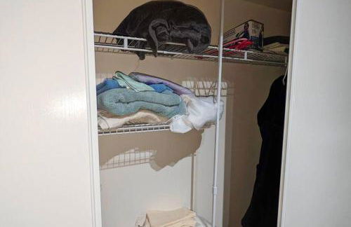 The Van Gogh Apartment - a cozy, creative retreat - Foto 19