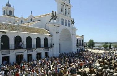 Las Marismas-Puente del Rey - Photo 24