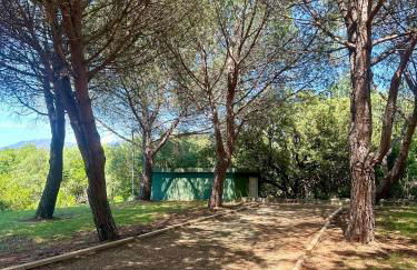 Rundinelle di Saint-Florent - Foto 14