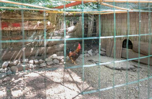 Colleincanto Appartamento Lina - Foto 24