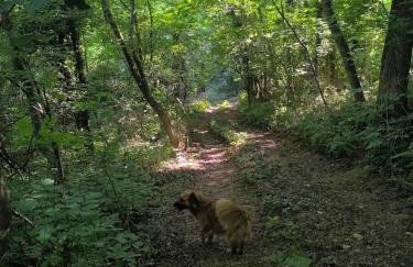 Old house by the stream - Photo 21