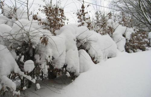 Ferienwohnung in Madfeld nahe Wald - Foto 17