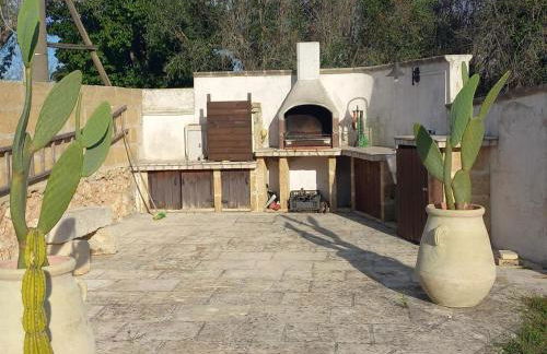 Vecchio Ulivo - Foto 7