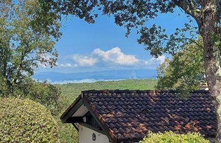 Les 4 mousquetaires - Photo 34