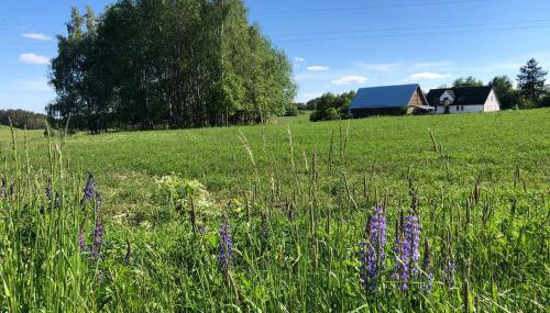 Prosinko 25 - Foto 2