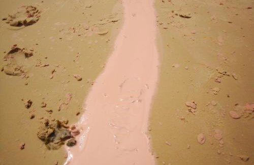 Bangalô dos Sonhos - Foto 73