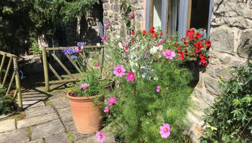 Lee house farm holiday cottage with possible use of hot tub ninety pounds a session - Foto 4