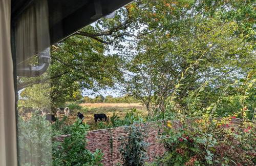 Little Barn - Foto 31