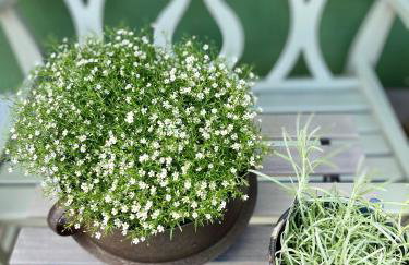 Apartmenthaus Lütt Meer - Foto 63