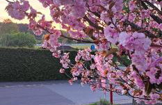 Romantisches Waldhaus mit Privatsauna, Grill und Feuerschtelle - Foto 33