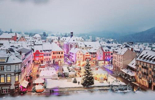 Hypercentre T2 50 m2, Château des Rohan - Foto 17