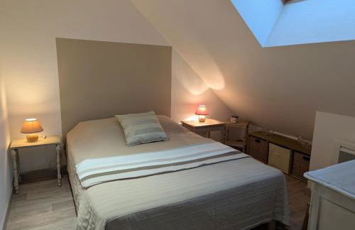 Charmante maison près des châteaux de la Loire avec jardin fermé et animaux bienvenus - FR-1-590-65 - Photo 12