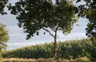 Holi Huus B - Photo 35