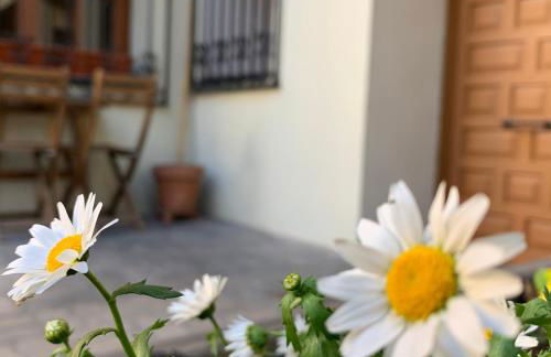 Espacios Blanco Plaza del Viejo Coso - Foto 33