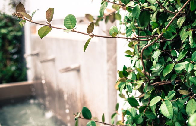 Apartamentos Campo del Príncipe - Foto 20