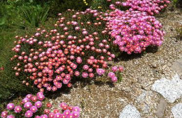 Casa de Ladrido - Foto 59