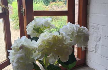 Cosy couples bolthole heart of Brecon Beacons - Photo 19