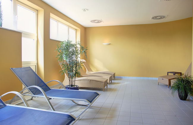 Reetland am Meer - Photo 33