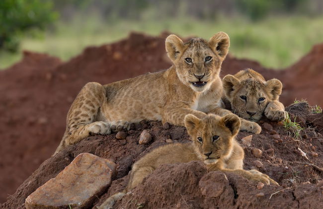 Ol Bobongi House - Foto 25