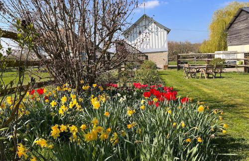 Gîte dans un petit haras - Foto 42