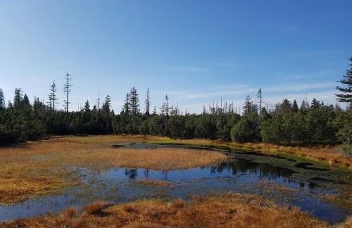 Ferienhaus Tonihof - Foto 66