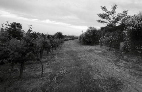Agriturismo Gaggioli Borgo Delle Vigne - Foto 61