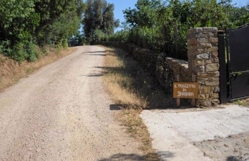 Il Poggetto di Barbara - Casa Bianca - Foto 20