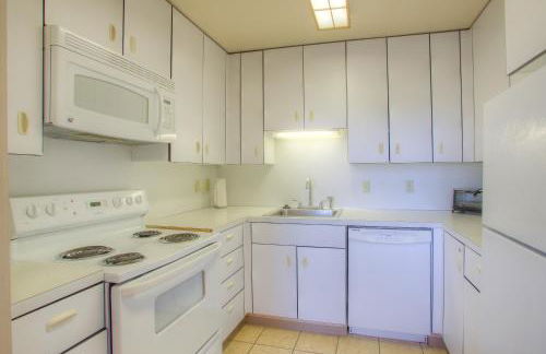 The Grey Gull - Foto 76