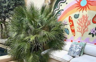 La Maison du Trident en Camargue Piscine et Jacuzzi - Foto 36