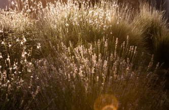 Casa de diseño con gran terraza - Foto 28