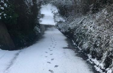 Glastonbury tranquility - Foto 18