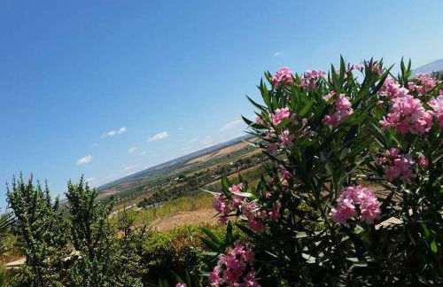 Il Canneto di Selinunte - Foto 72