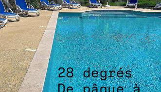 Le Petit Bois - Foto 2