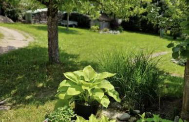 Schwarzwald Ferienwohnung Monteure - Foto 6