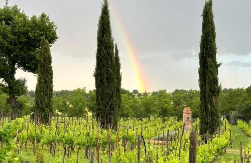 Fornace del Conte - Foto 77