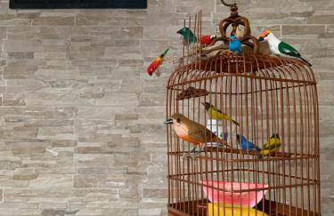 Hospedagem Casadalee chalé com piscina privativa aquecida e Apartamento sem piscina - Foto 30