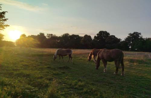 Gîte Traitsanes En Berry Centre Val de Loire - Foto 11