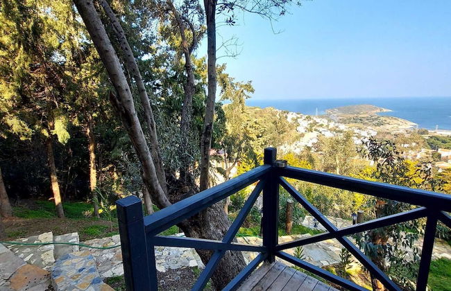 Sole Foca ( Ages 12+ ) - Foto 42