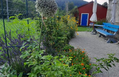 FeWo An der Bruecke - Foto 14