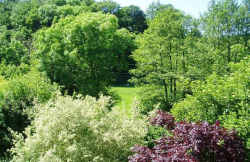 The Forest Country House B&B - Foto 8