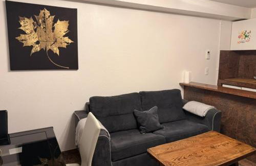 Bartholomé LE MAGNIFIQUE - Foto 35