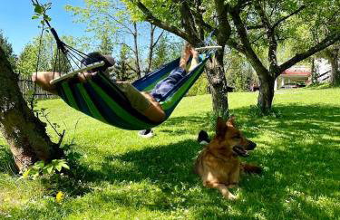 Przystanek Zawadka - Foto 34