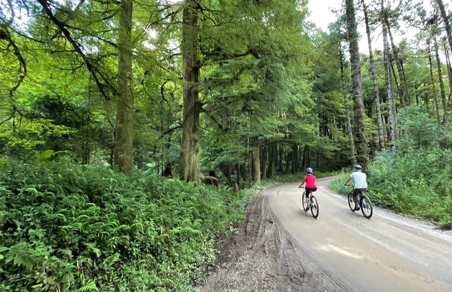 Tour di Monte Verde in bicicletta - Foto 5