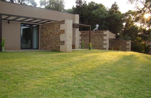 Bosque da Harmonia - Foto 63