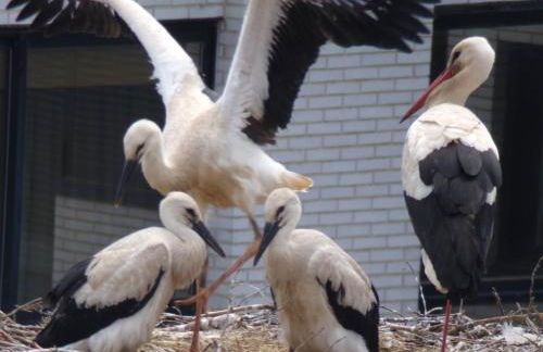 Tranquilidad junto al centro histórico - Foto 21