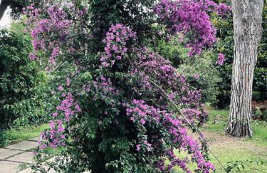 Villa Fiorella - Foto 18