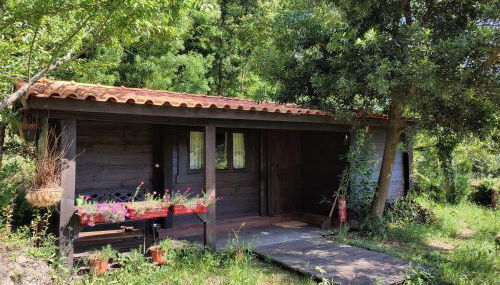 O Cantinho de Coura - a cabana - Foto 4, Garden