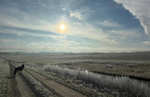 Schorsch's Ferienhaus - Foto 6