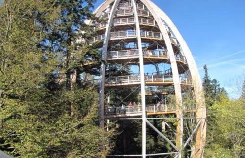 Ferienwohnung BEER - Photo 8