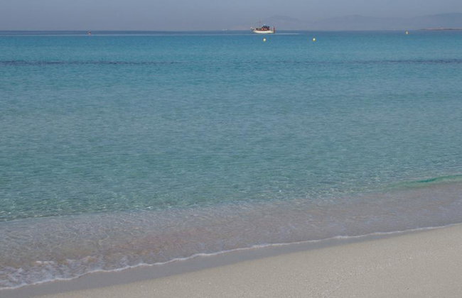 Formentera with its best beaches - Full-Day Tour by Fast Ferry and Optional Hotel Pick-Up - Photo 3